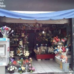 Floreria Lupita