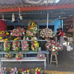 Florería Lupita