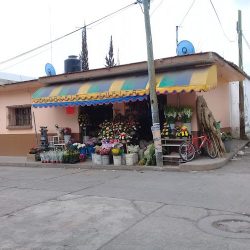 Florería Lupita