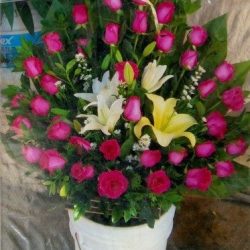 Floreria Lupita