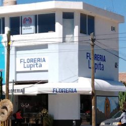 Floreria Lupita