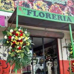 Florería Lupita