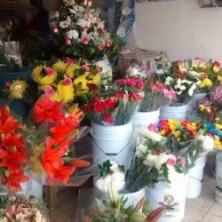 Florería Lupita