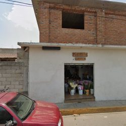 Floreria Lupita
