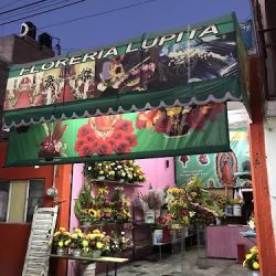 Floreria Lupita