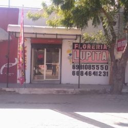 Florería Lupita