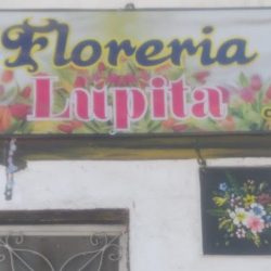 Floreria Lupita