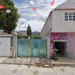 Florería Lupita