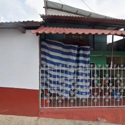 Florería Lupita