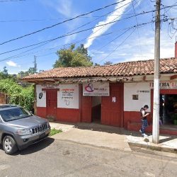 Florería Lupita