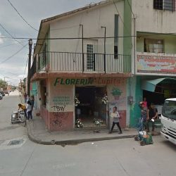 Floreria "lupita"