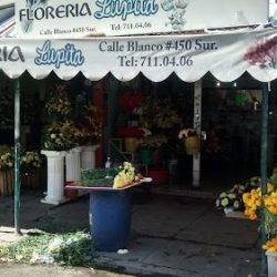 Floreria Lupita