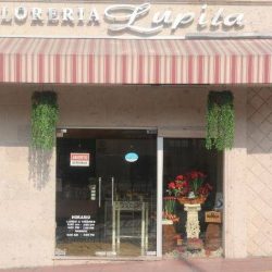 Florería Lupita