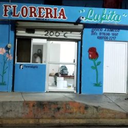 Floreria Lupita García Nl