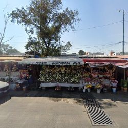 Floreria Lupita (local 6)