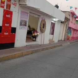 Florería "lupita's"