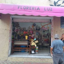 Floreria Luz