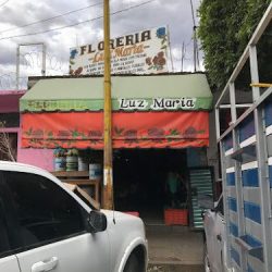 Florería Luz María