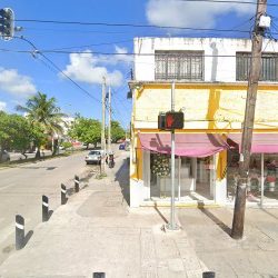 "floreria Ma. Del Carmen"