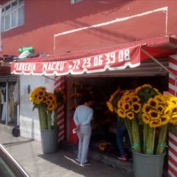 Floreria Macru