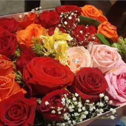 Floreria Madelin