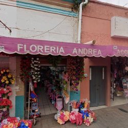 Florería Magnolia