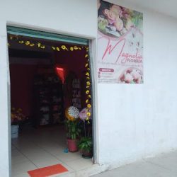 Floreria Magnolia