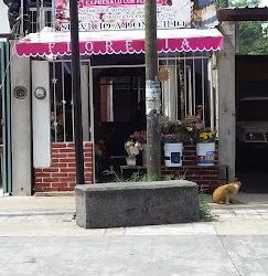 Floreria Magnolia