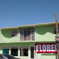Florería Magnolia