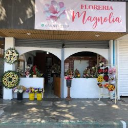 Floreria Magnolia Tijuana