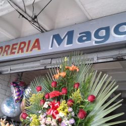 Floreria Mago