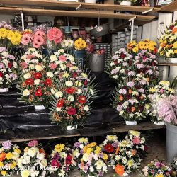 Florería Magui