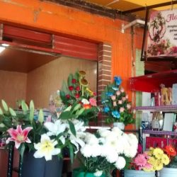 Florería Mahui