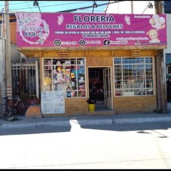 Florería Majo