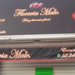 Florería Male Tlalnepantla