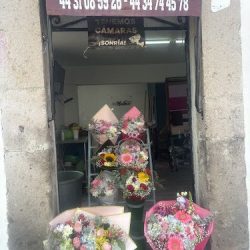 Florería Malena