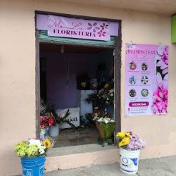 Florería Malu