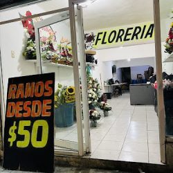 Floreria Mandujano Flowers