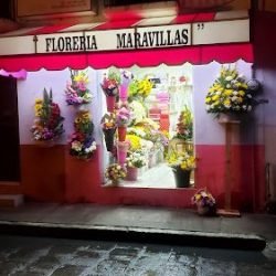 "floreria Maravillas "