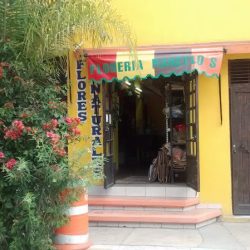 Florería Marcelo's