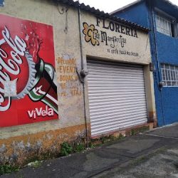 Floreria Margarita