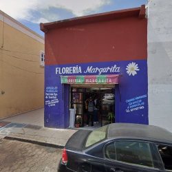 FlorerÍa Margarita