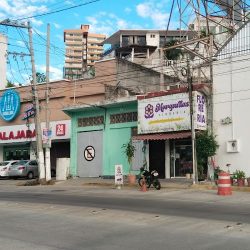 Florería Margaritas