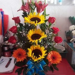 Floreria "mari Y El Conquistador"