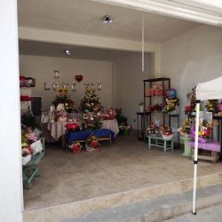 Florería María Bonita