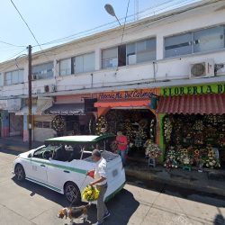 Florería María Del Carmen