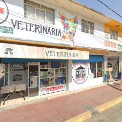 Florería María Luz