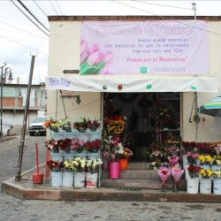 Florería Mariam