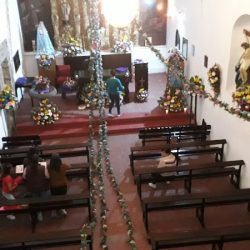 Floreria Mariana