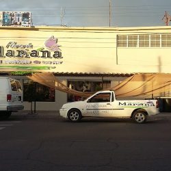 Floreria Mariana, Delicias